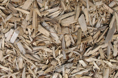 biomass boilers Scatness